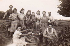 Champagne James VRAYET - Photo ancienne 02